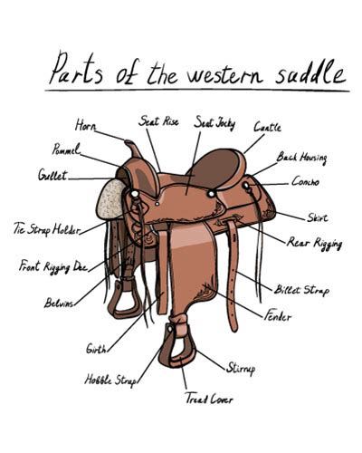 fitting  western saddle  cheshire horse