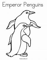 Emperor Coloring Penguin Pages Library Clipart Colouring Penguins sketch template