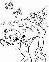 Bambi Disegni Bamby Colorare Uccellini Farfalle Colorir Passarinhos Thumper Borboleta Dvanaest Bambini Bojanke Hellokids Crtež Scegli Coloringhome Línea sketch template