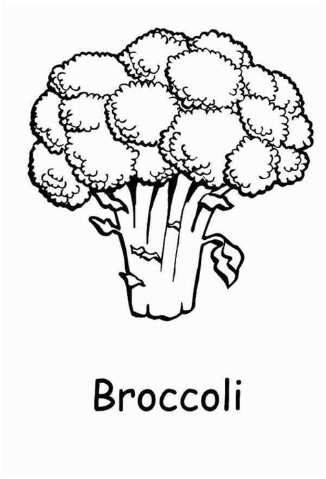 printable vegetable coloring pages printable world holiday