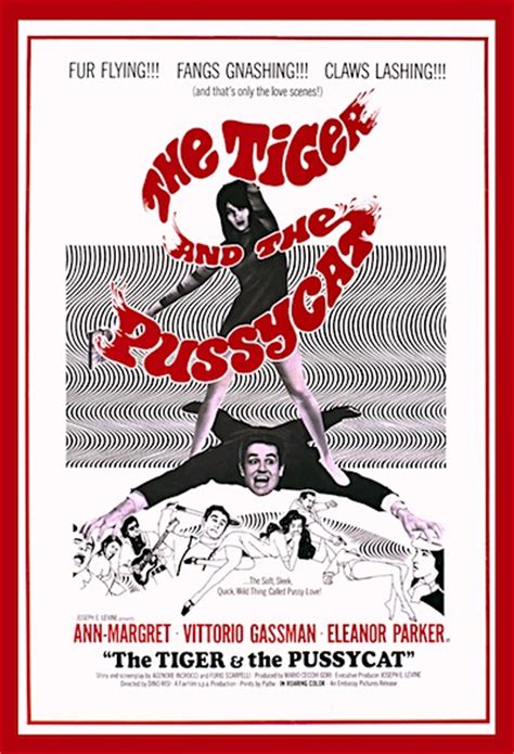 tiger and the pussycat dvd 1967 movie ann margret