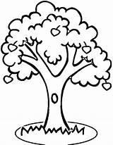 Tree Mango Colouring Pages Clip Clipart Outline Printable sketch template