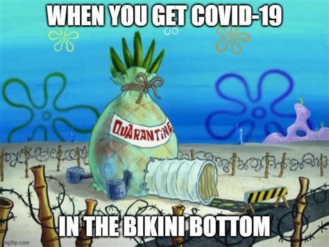 image tagged in bikini bottom memes imgflip