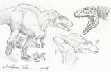 Acrocanthosaurus Sketch Compiler Coloring Deviantart Ltl Allosaurus Template sketch template