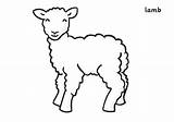 Lamb Coloring Spring Lambs Sheep Pages Cartoon Little Baby Color Print Running Drawing Kids Outline Coloringsky Choose Board Preschool Animal sketch template