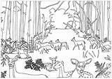 Colorare Disegni Bambini Foresta Cervi Norvegese sketch template