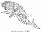 Whale Zentangle Raster Shutterstock sketch template