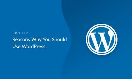 reasons     wordpress   website