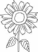 Sunflower Coloring Pages Adults Printable Color Getcolorings sketch template