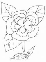 Coloring Flower Camellia Pages Flowers Recommended Designlooter sketch template