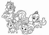 Principesse Colorkid Mascotas Cuccioli Tots Whisker Coloriage Animaux Wecoloringpage sketch template
