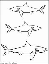 Shark Coloring sketch template