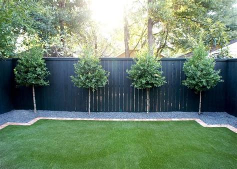 fabulous privacy fence line landscaping ideas landscaping along fence
