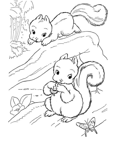 wild animals coloring pages coloring home