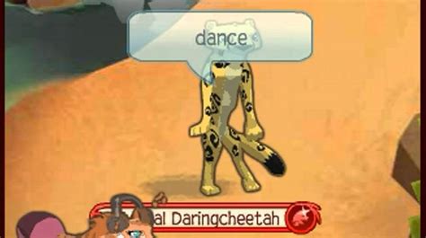 animal jam cheetah moves youtube
