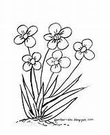 Bunga Rumput Mewarnai Putih Hitam Sketsa Diwarnai Kumpulan Lukisan Kartun Laut Anggrek Pemandangan Menggambar Tanpa Tanaman Terpopuler Tugas Hasil Hias sketch template