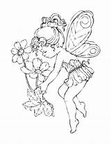 Fairy Coloring Pages Adult Printable sketch template