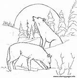 Wolf Coloring Pages Adults Printable Animal Wolves Print Color Adult Detailed Wild Colouring Moon Sheets раскраски Gif Sheet Birthday Kids sketch template