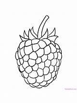 Raspberries Gaddynippercrayons Fruits sketch template