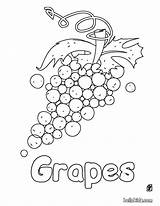 Grapes Hellokids Trauben Colorear Malvorlage Uvas Grape Weintrauben Farben Enregistrée sketch template