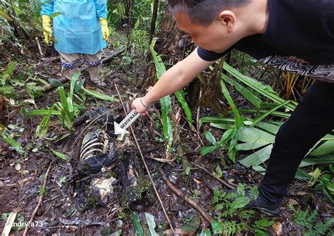 Koran Manado Mayat Di Kaki Gunung Mahawu Ternyata Korban Pembunuhan