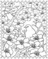 Coloring Blossom Cherry Pages Japanese Tree Flower Designs 3d Flowers Adult Drawing Dover Publications Book Colouring Printable Color Birds Sakura sketch template