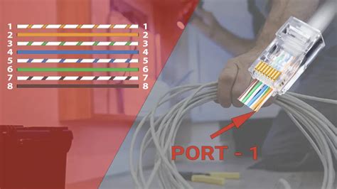 cat  cable diagram wiring cable order