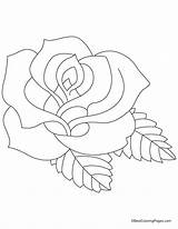 Coloring Rose Pages Drawing Flower Artificial Gladiolus Printable Roses Bestcoloringpages Petals Colouring Easy Getdrawings Getcolorings Adult Popular sketch template