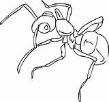 Ant Coloring Kids Popular sketch template