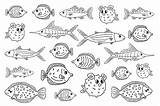 Tang Marlin Burrfish Tuna Flounder Vecteezy sketch template