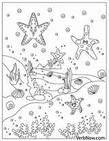 Starfish sketch template