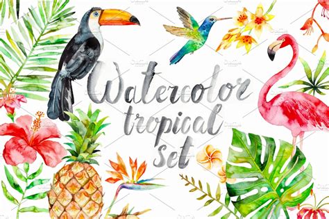 watercolor tropical set ~ illustrations ~ creative market