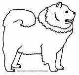 Breed Chow sketch template
