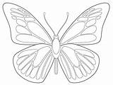 Butterfly Drawing Outline Butterflies Coloring Templates Blank Template Kids sketch template