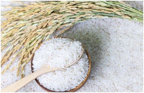 jasmine rice nutrition facts health benefits recipe side effects