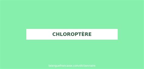 definition de chloroptere dictionnaire francais