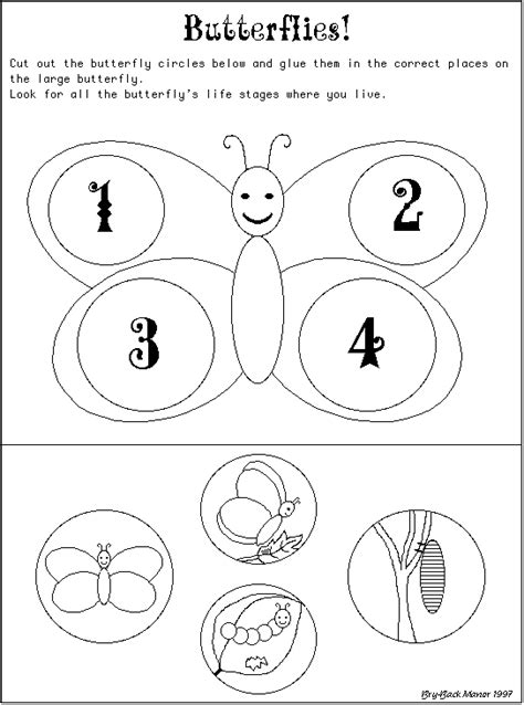 butterfly life cycle coloring page coloring home