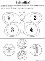 Butterfly Hungry Chenille Trous Primaire Enseignants sketch template