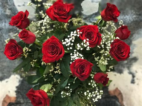 dozen red roses long stemmed arranged  dressed  filler  fort