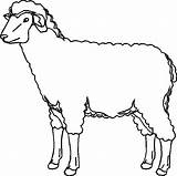 Pecore Pecora Mouton Oveja Sheep Presepe Stampare Gregge Schafe Disegnidacoloraregratis Megghy Cani Capra Agnello Asino sketch template