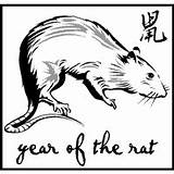 Rat sketch template