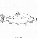 Clipart Humpback Chinook sketch template