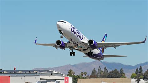 avelo airlines ceo   cost carriers destinations  phoenix