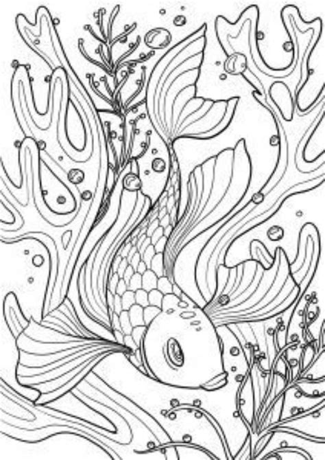 coloring book page  kids  adults fish coloring page animal
