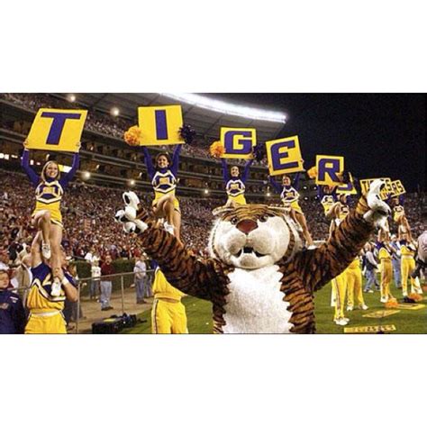 geaux tigers crazy lsu football game days