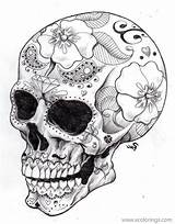 Skull Coloring Dead Realistic Printable Xcolorings 163k Resolution Info Type  Size Jpeg sketch template