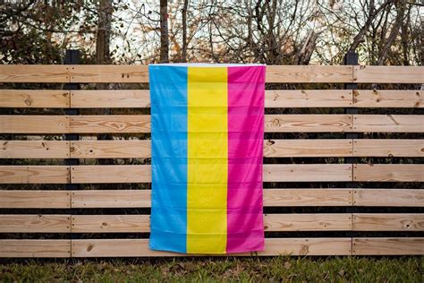 Pansexual Pan Pride Flag Flags For Good
