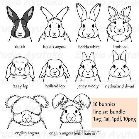 lop eared rabbit clipart outline