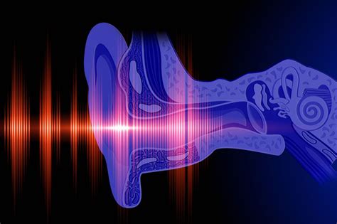 moving   future   drug induced hearing loss ohsu news