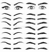 Eyebrow Eyes Vector Man Eyebrows Draw Illustration Women Stock Sketch Cosmetics Business Drawing Anime Cartoon Eye Dreamstime Styles Depositphotos Dibujo sketch template